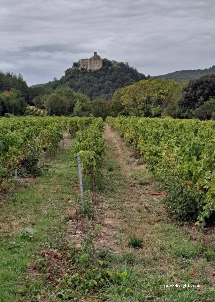 (07220) Saint-Thomé - D107 — foto 3