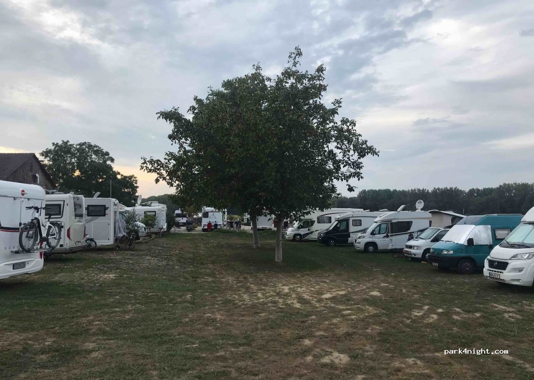 Schüber Strauße | Gutsschenke zur Scheune — foto