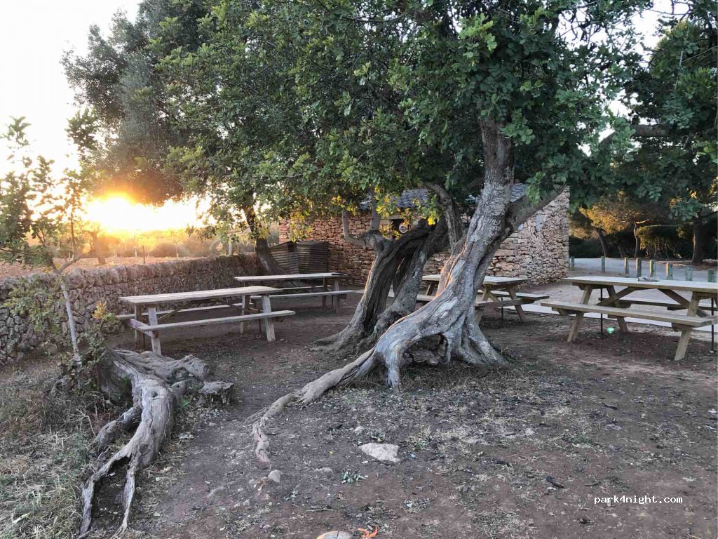 (07691) Santanyí - 2 Carretera A.Blanca-C. Mondragó — foto 2