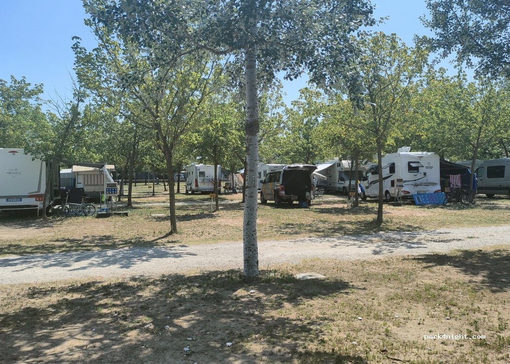 Camping Albatros — foto 4