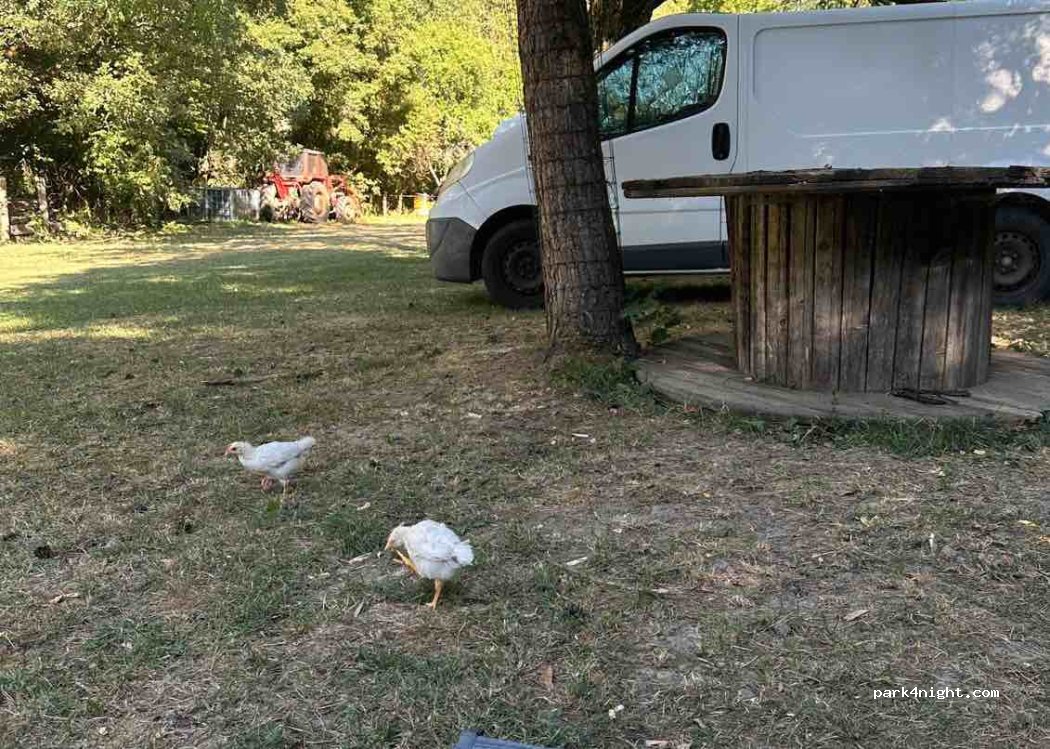 Camping des Baumes — foto 4