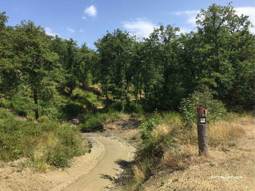 (53017) Cavriglia - Strada Provinciale 72 — foto 3