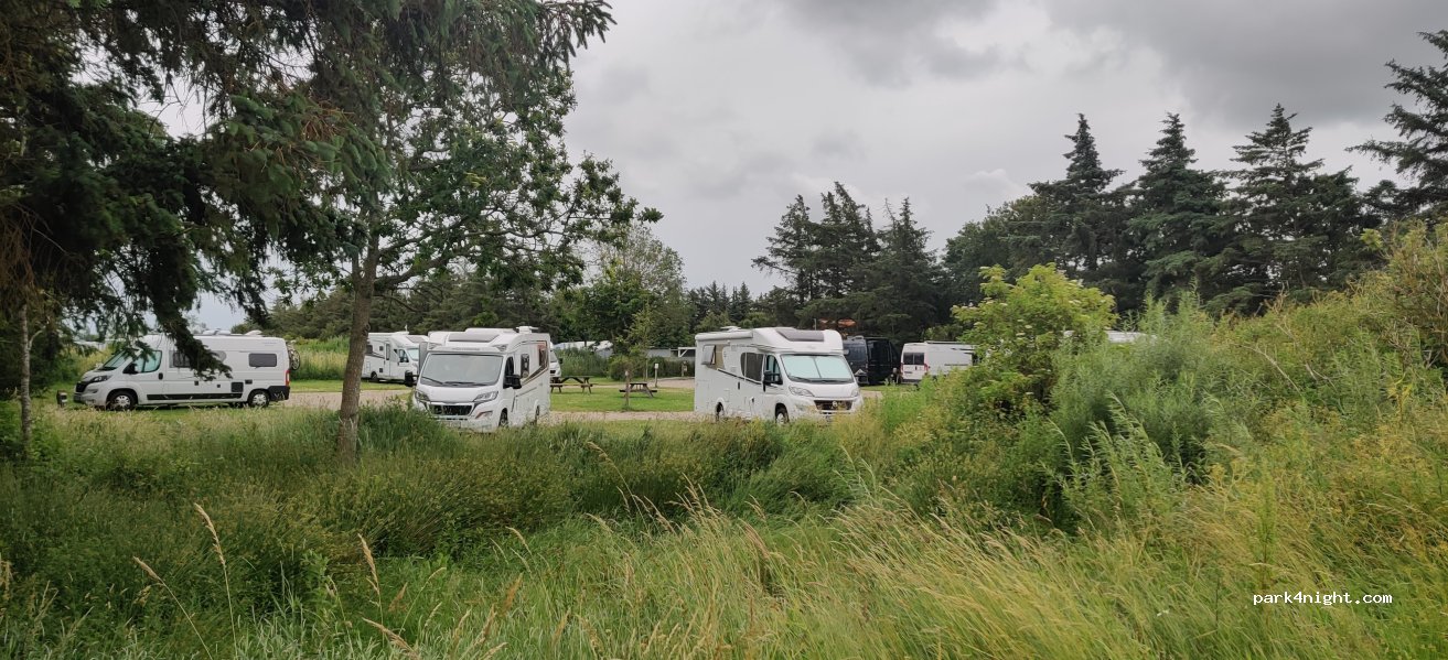 Ballum Camping — foto 3