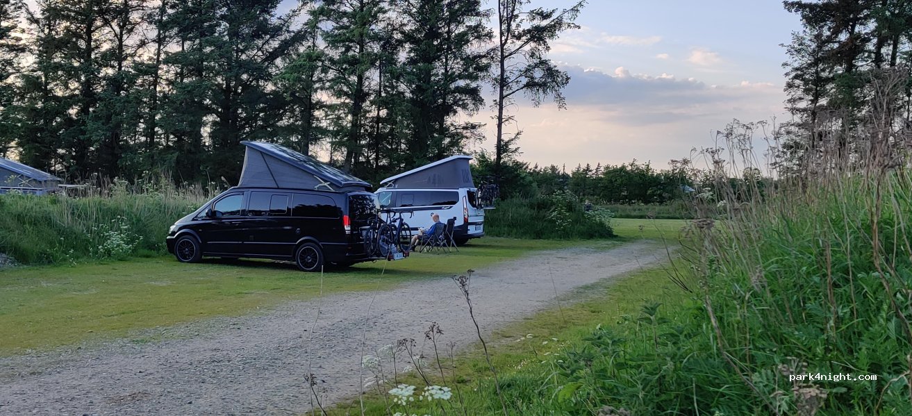 Ballum Camping — foto 5
