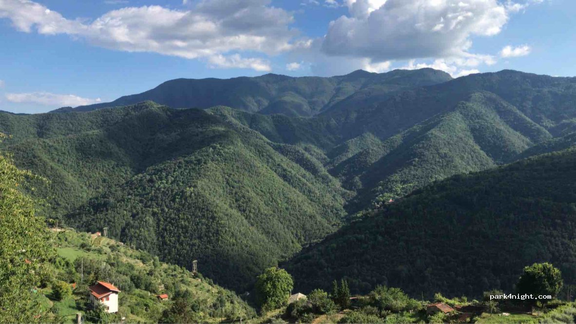 (18010) Triora - Strada Provinciale 89 Triora - Passo della Guardia — foto