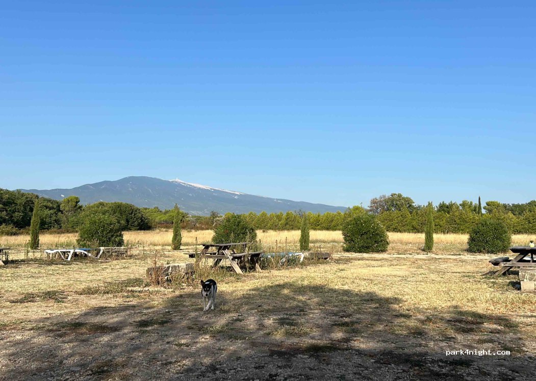 Domaine les Dominicains — foto 3