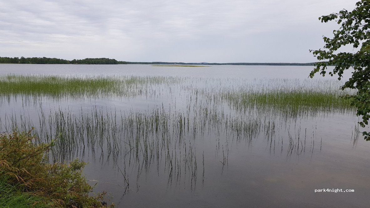 (99620)  - 2268 Savukoskentie — foto 3