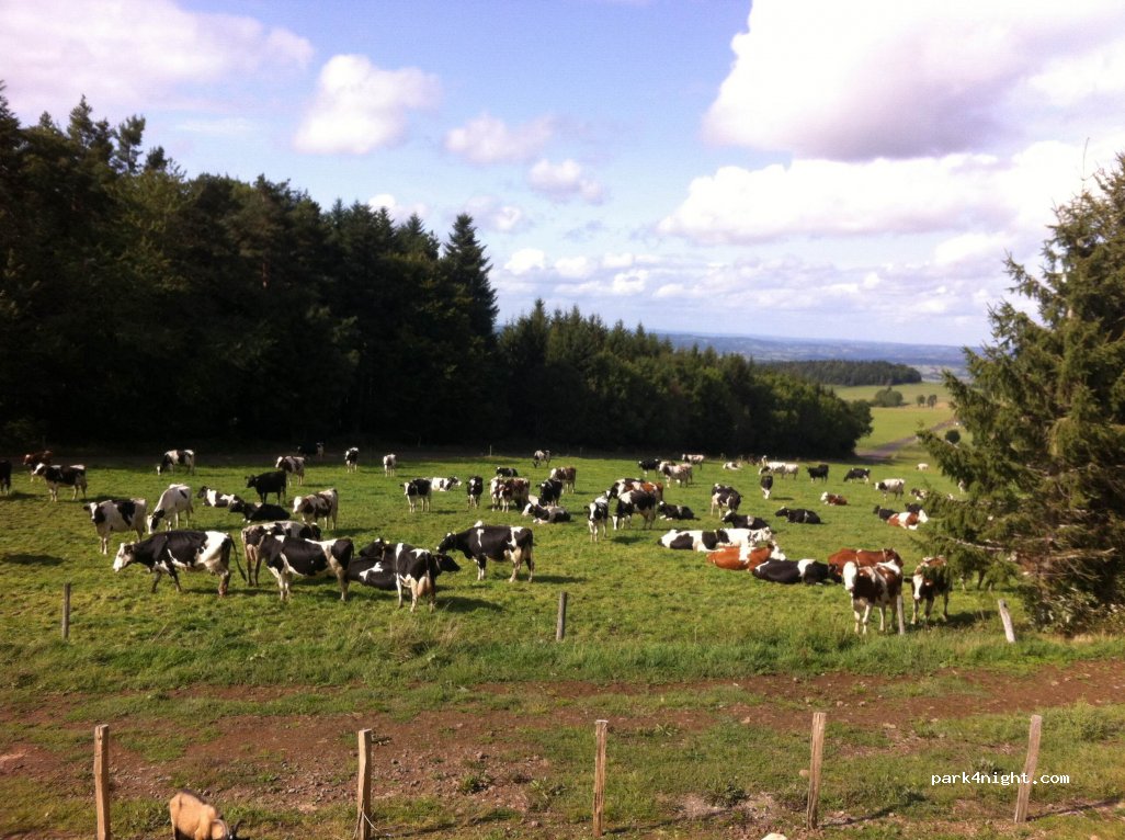 Ferme Le Roc — foto