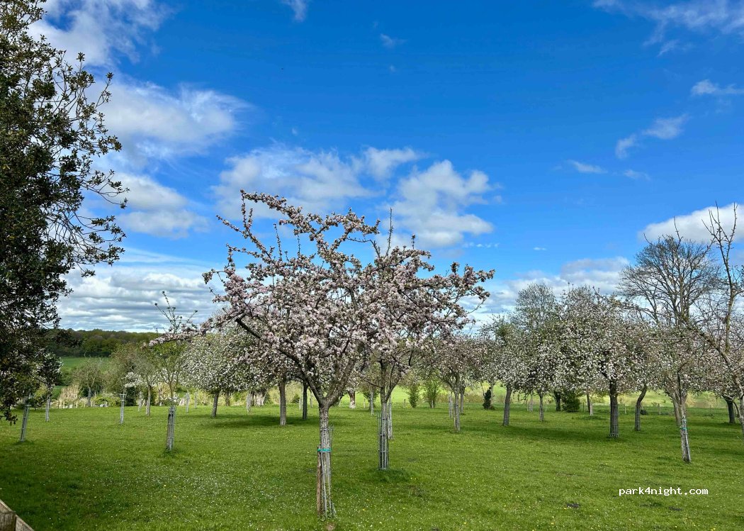 Le Perrey Picot — foto 5