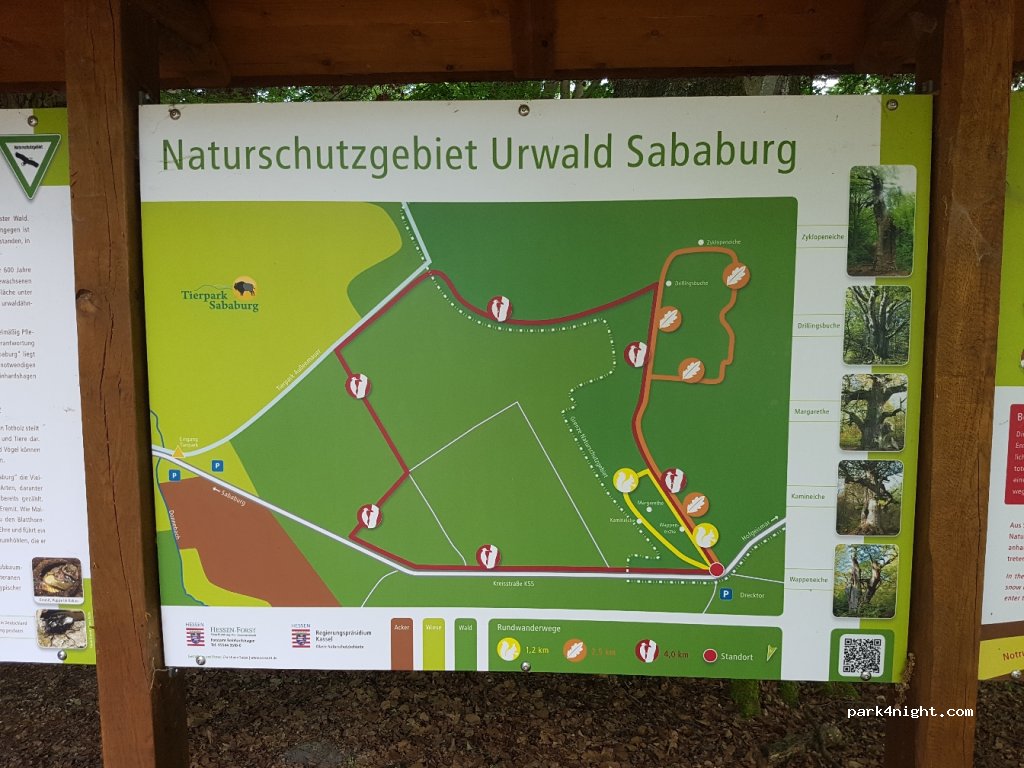 (34388) Gutsbezirk Reinhardswald - K55 — foto 2