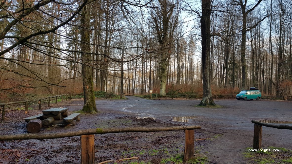 (34388) Gutsbezirk Reinhardswald - K55 — foto 3