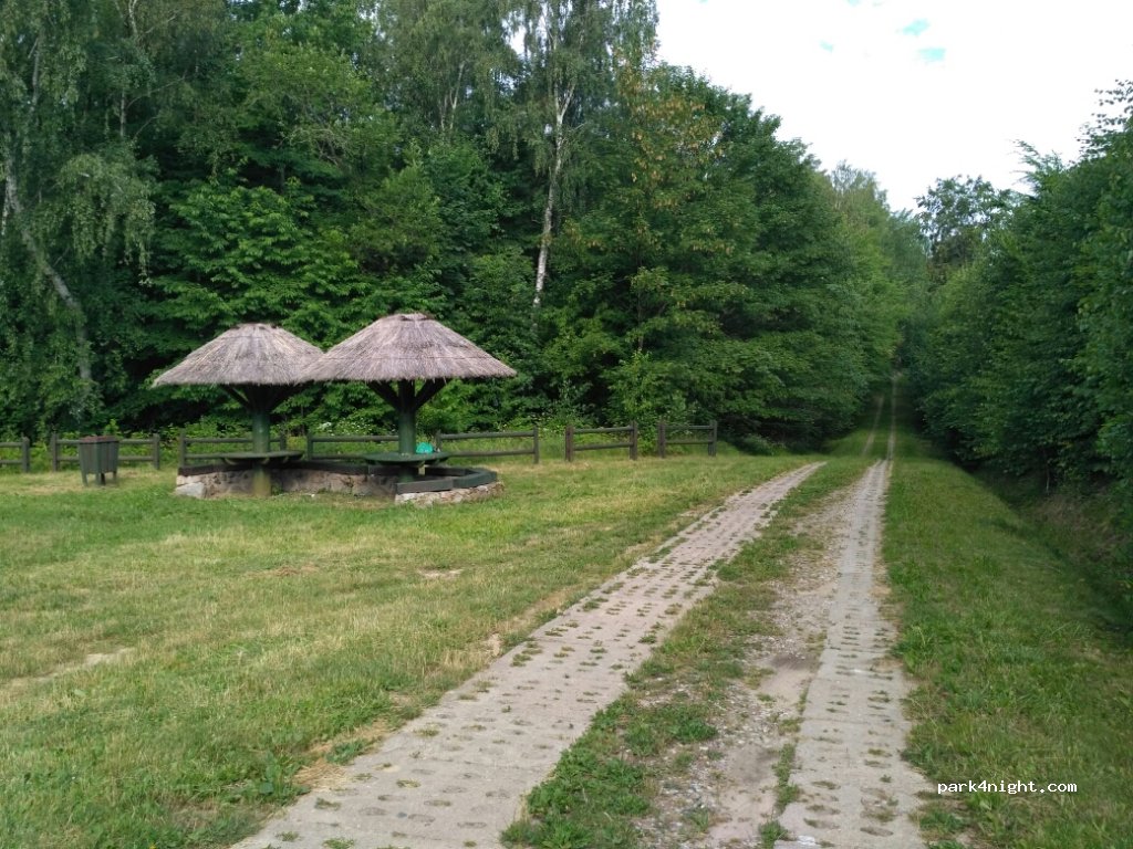 (42-141) Brzeziny - 13 Droga Wojewódzka 504 — foto