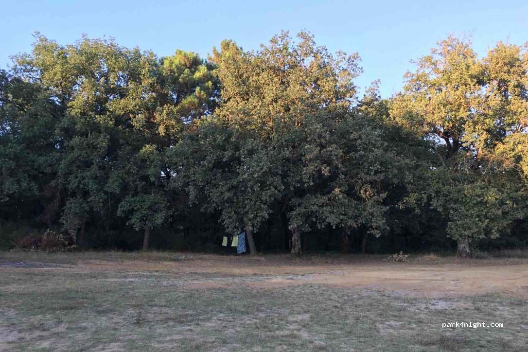 (50022) Lamole - 39 Località San Leolino — foto 3