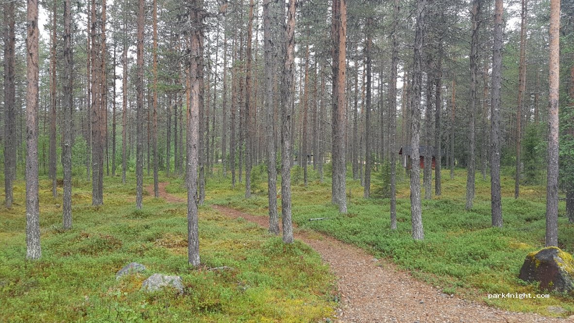 (98800) Savukoski - 55 Miekkavaarantie — foto 3