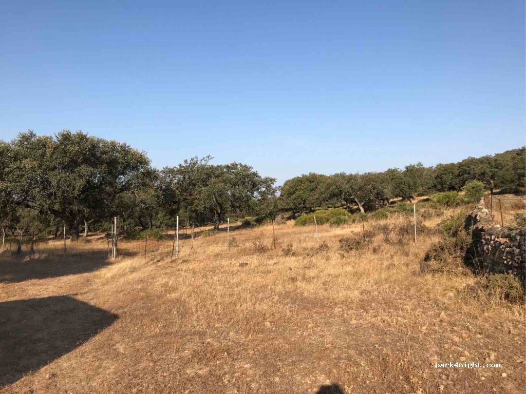 (41890) El Castillo de las Guardas - SE-530 — foto 3
