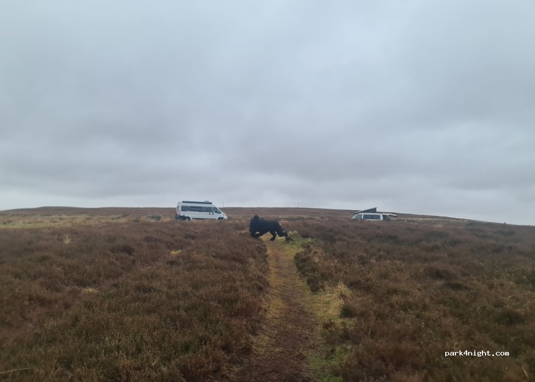 (KW14) Thurso - A836 — foto 5