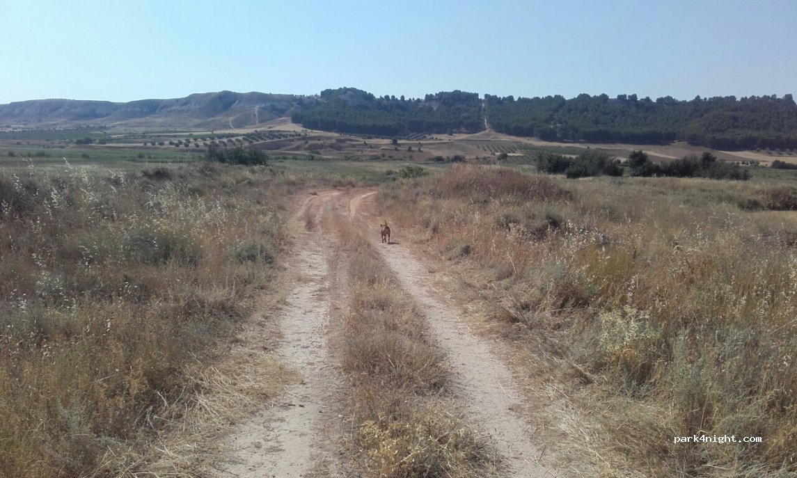 () La Guardia - Unnamed Road — foto 2