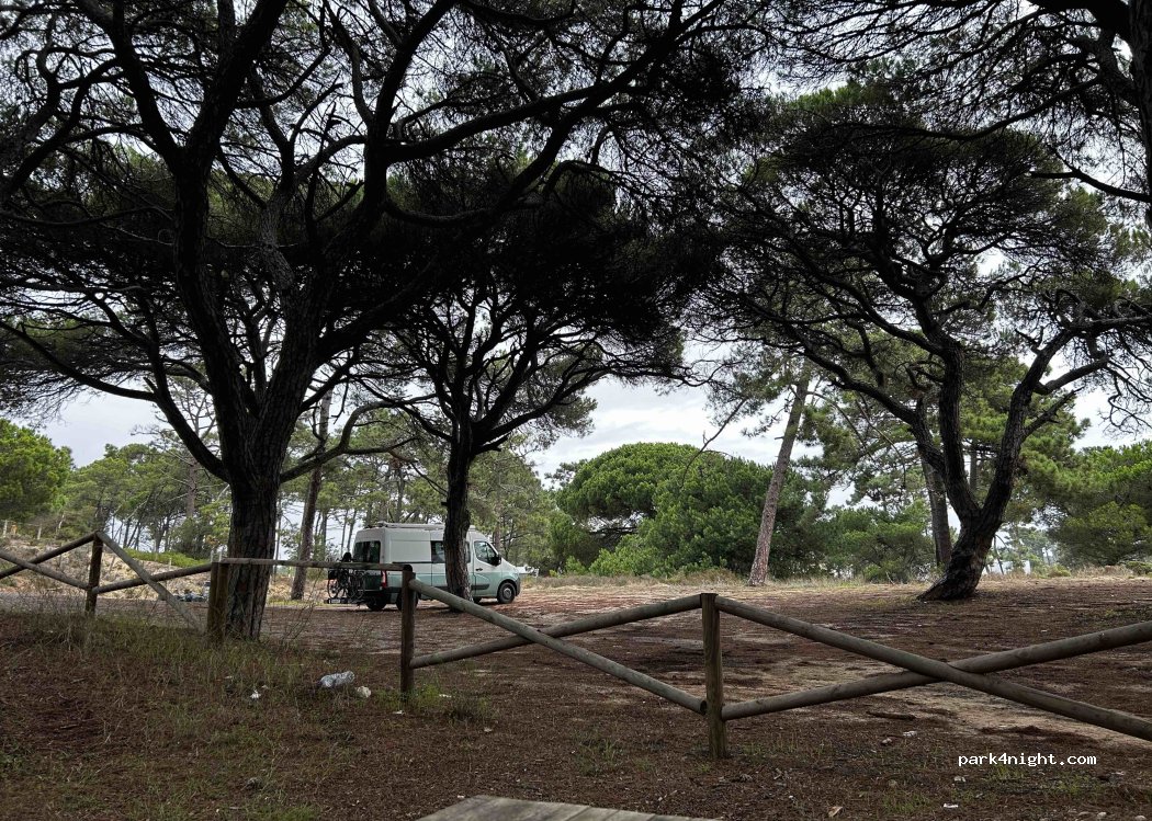 (2820) Aroeira - Avenida do Mar — foto 5