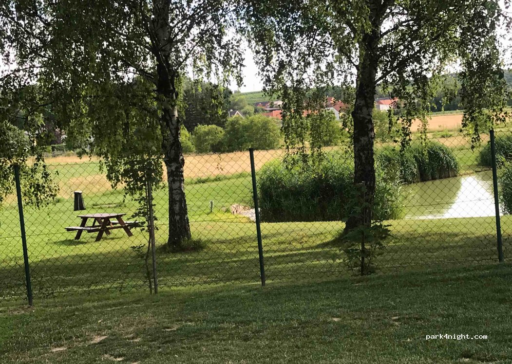 Veltlinerland camping — foto 4