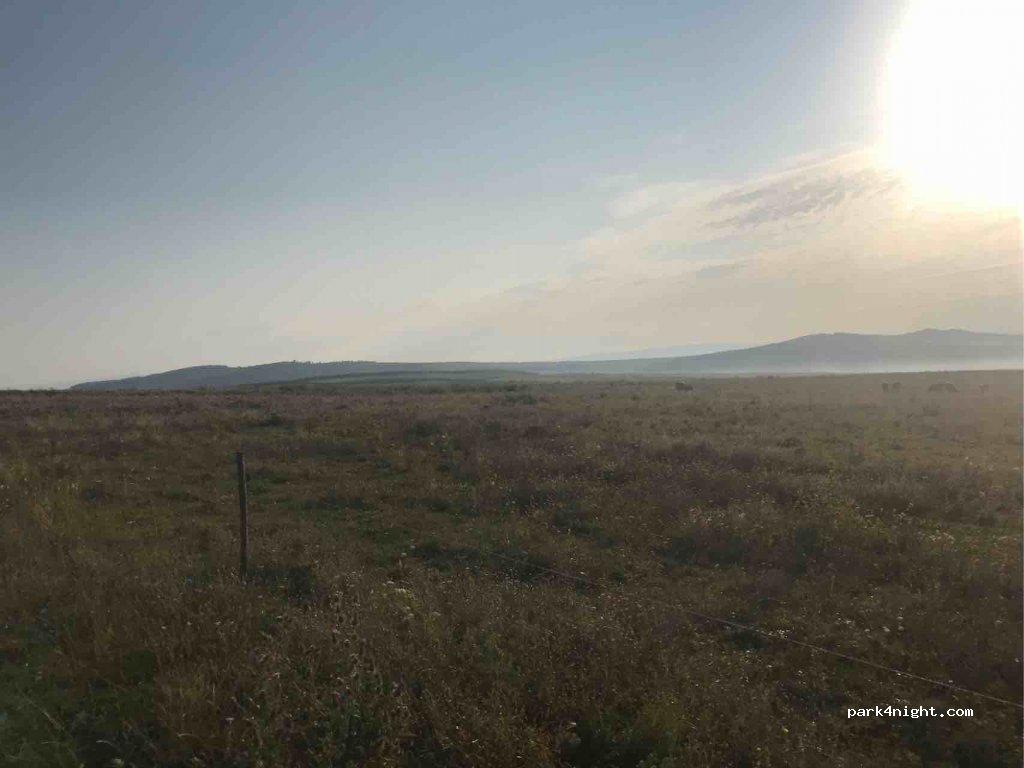 (547225) Fărăgău - DN16 — foto 2