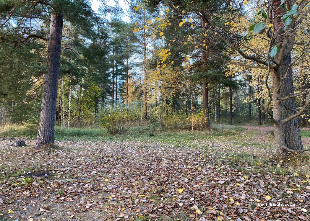 (52700) Mäntyharju - 14 Vihannanranta — foto 2