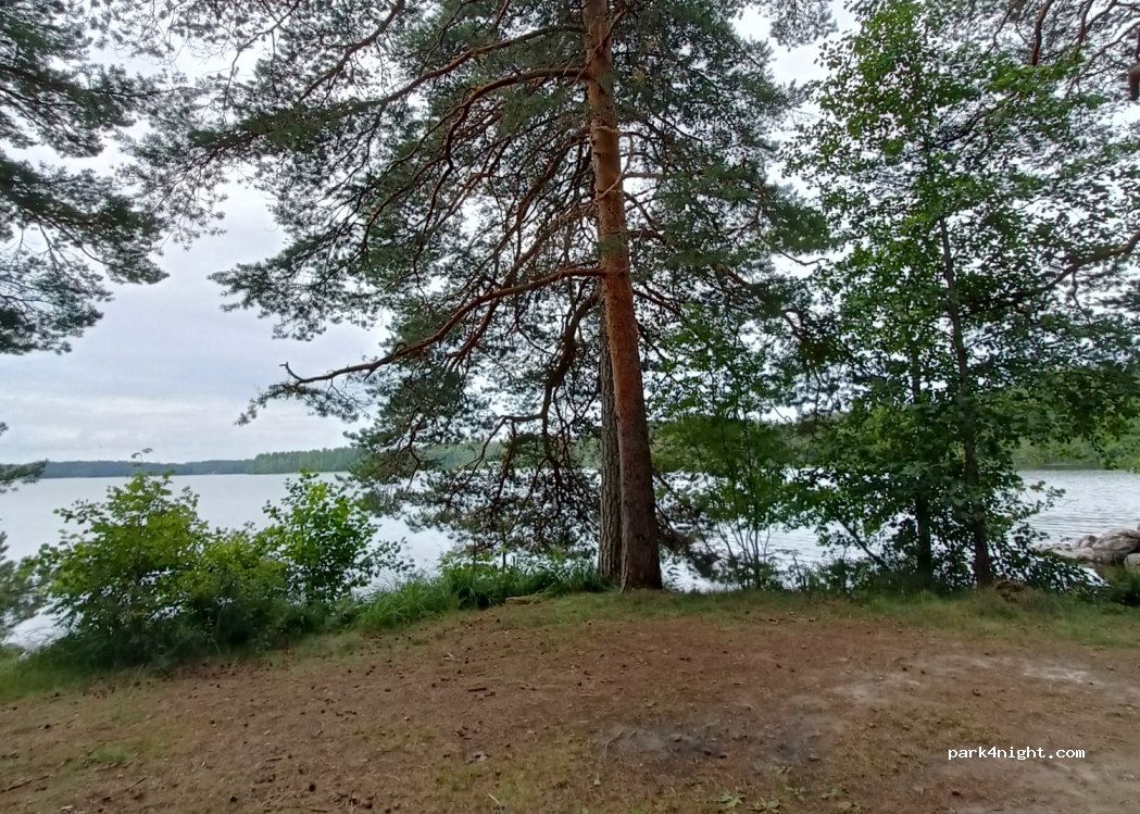 (52700) Mäntyharju - 14 Vihannanranta — foto 3