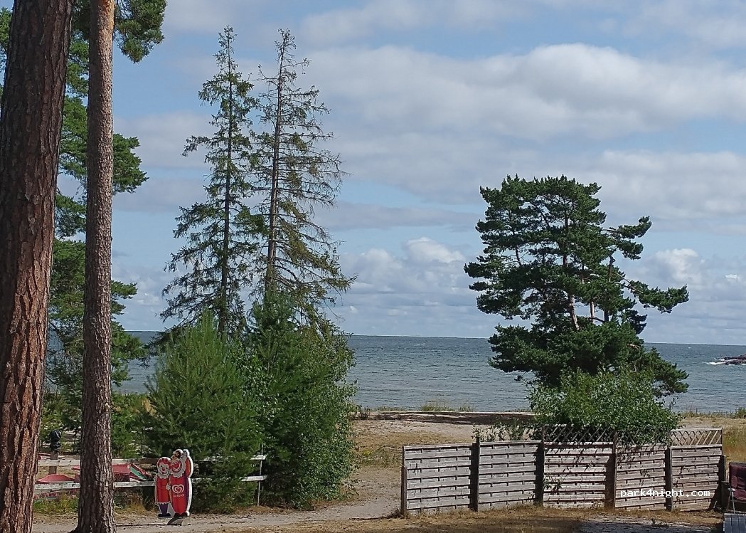Väddö Sandvikens Camping — foto 3