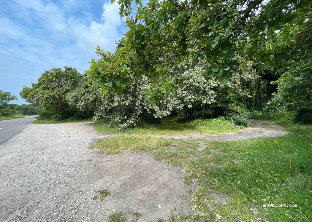 (2211 ZG) Noordwijkerhout - 62 Ruigenhoekerweg — foto