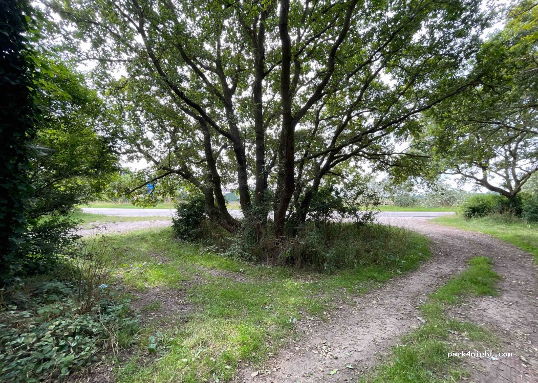 (2211 ZG) Noordwijkerhout - 62 Ruigenhoekerweg — foto 2