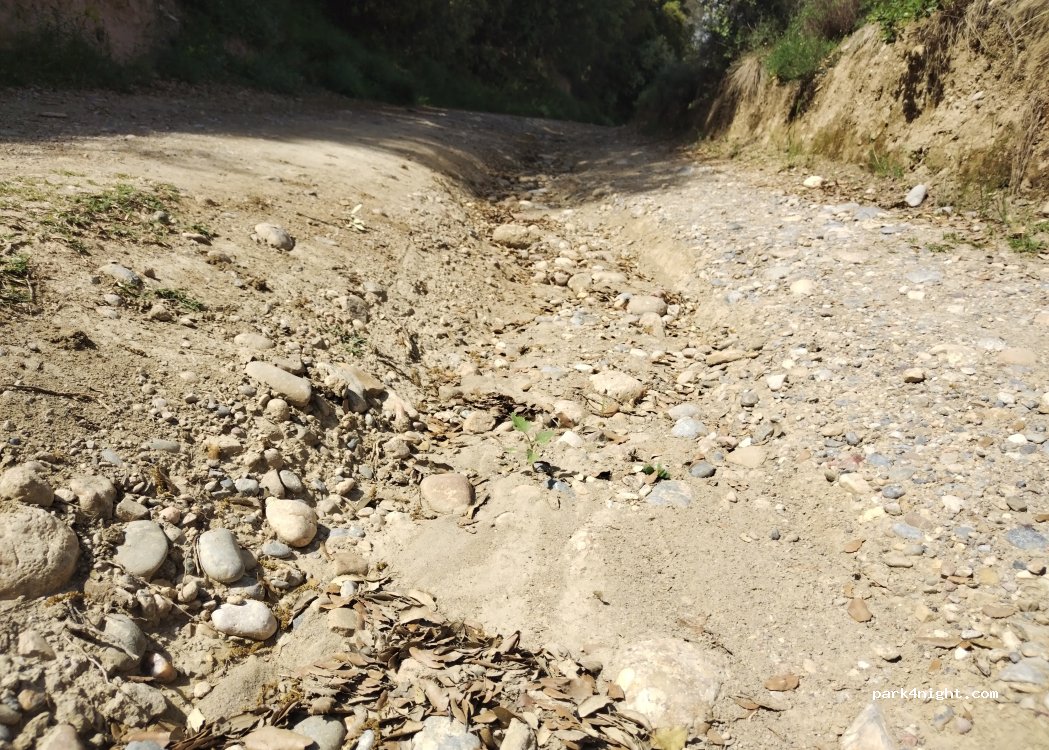 (22393) Abizanda - Carretera Aragonesa — foto 5
