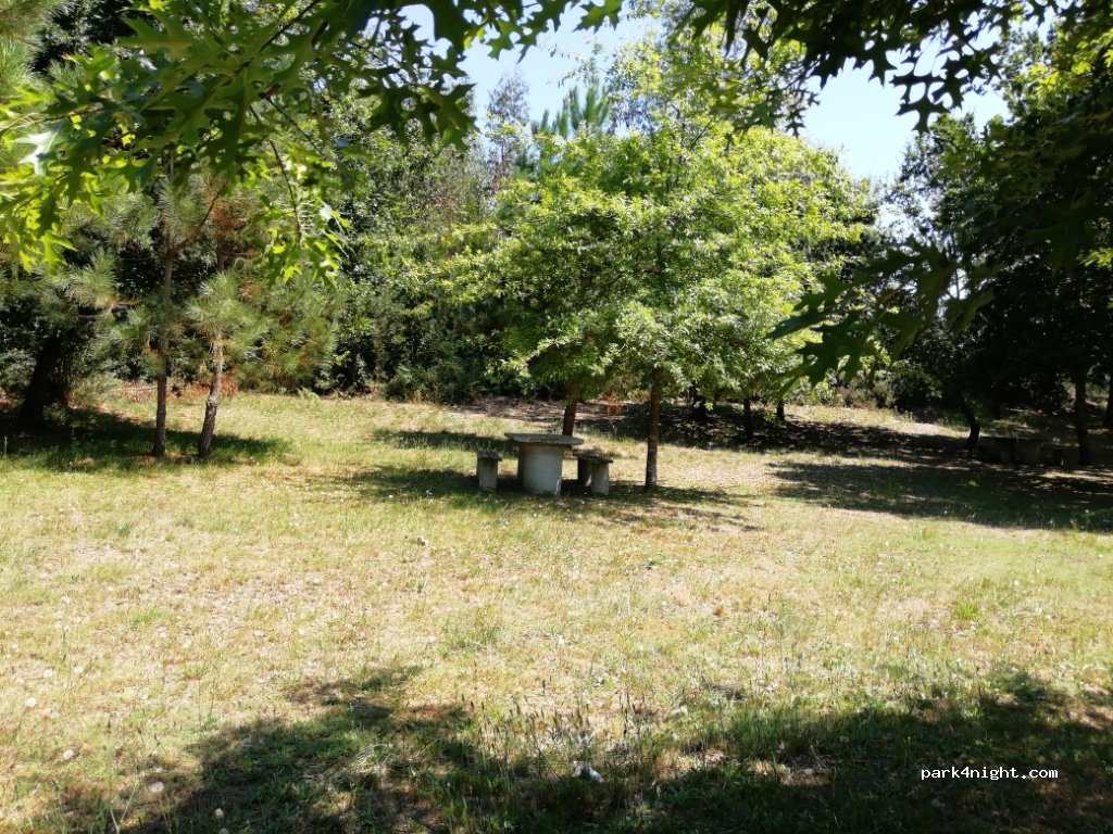(4920) Candemil - N303 — foto 2