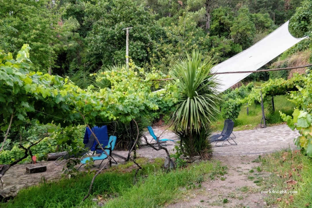 Camping — foto