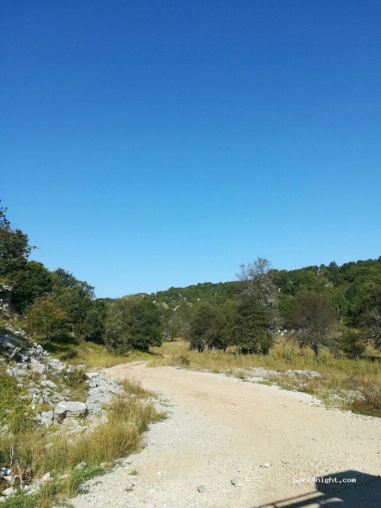 (44018) Μονοδένδρι - Διακλάδωση Βίτσας — foto 2