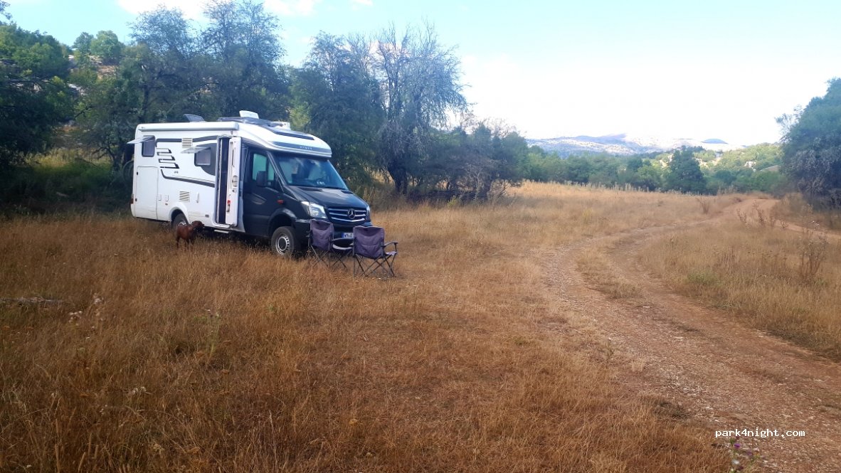 (44018) Μονοδένδρι - Διακλάδωση Βίτσας — foto 3