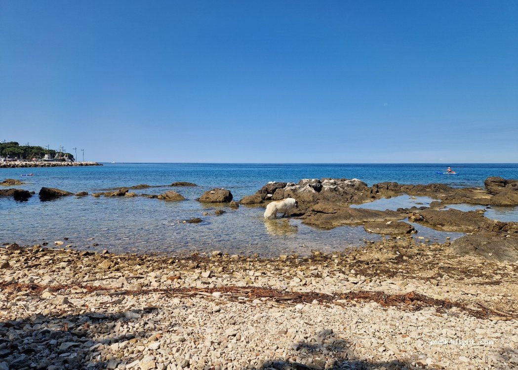 Camping  Tramontana — foto 4