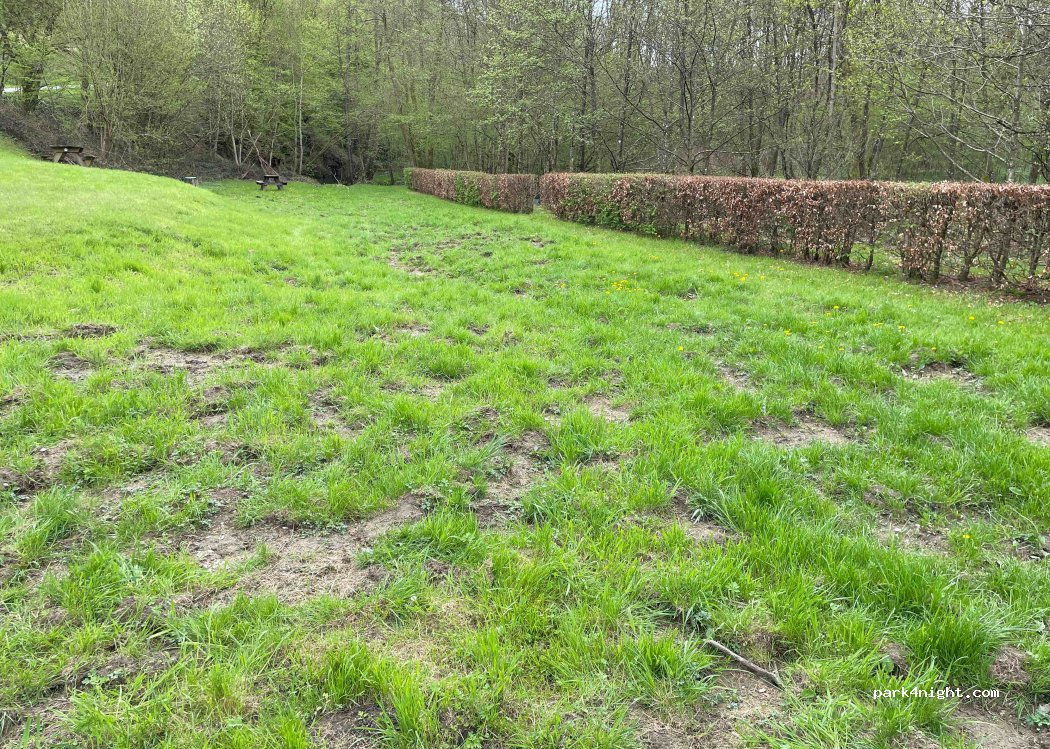 (08800) Les Hautes-Rivières - 37 Rue de Linchamps — foto 3