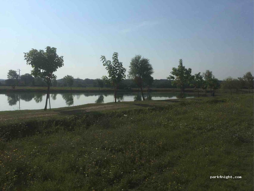 (56025) Pontedera - 2 Via delle Prunacce — foto