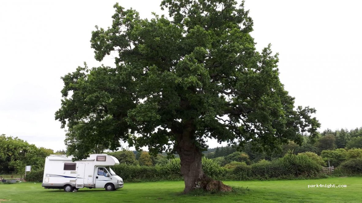 Broadstone Park Camping and Fishery — foto