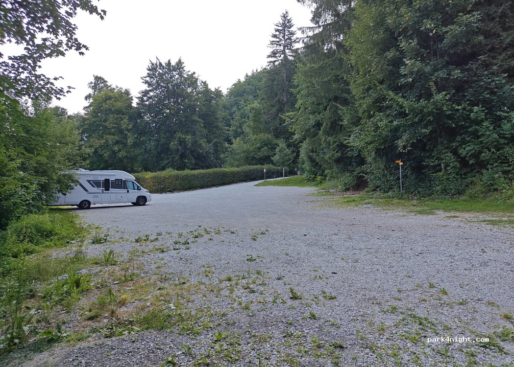 (1666) Grandvillard - 28 Route des Lyéres — foto 5