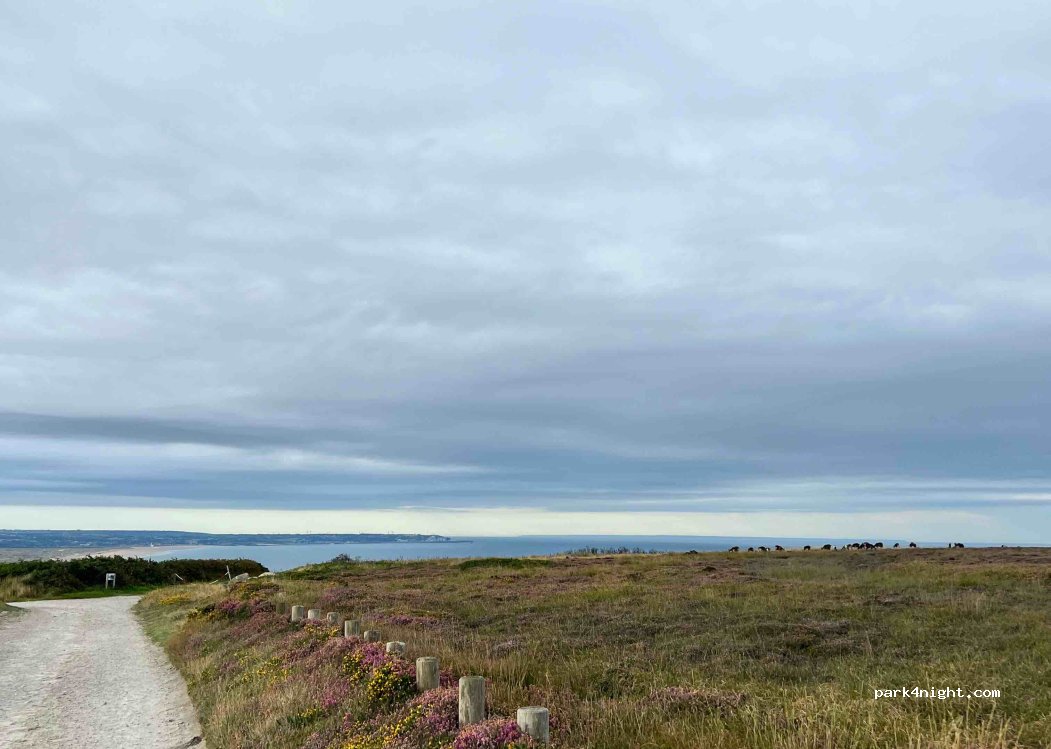 (50440) Vauville - Unnamed Road — foto 3