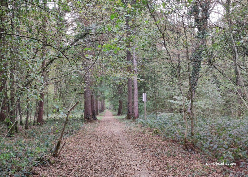 (52200) Saints-Geosmes - Route Forestière de Marne et Mont — foto 3