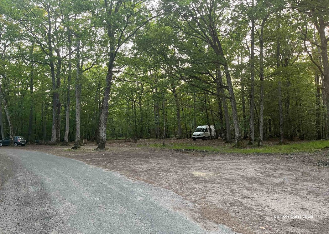 (72320) Vibraye - 58 Chapelle Sainte-Anne — foto 4