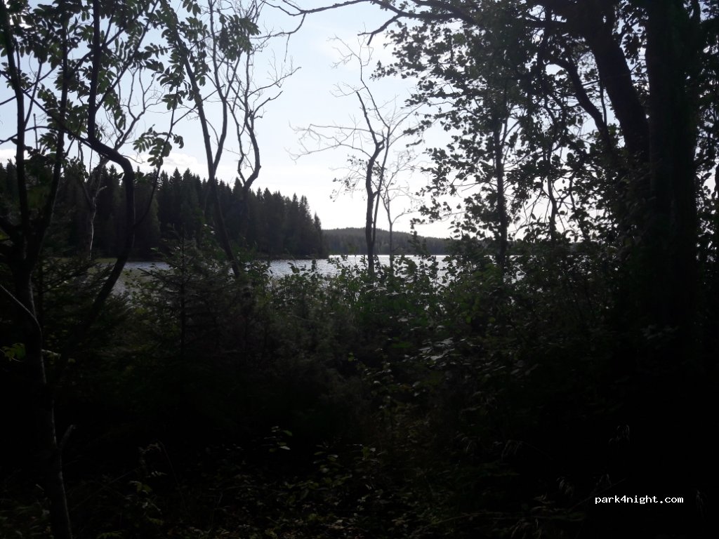 (88300)  - 55 Kivesjärven rantatie — foto 3