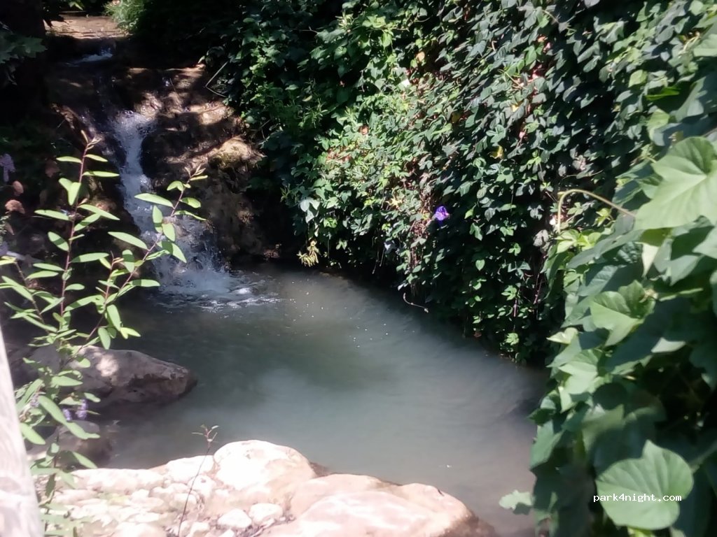 (29710) Periana - 22 MA-156 — foto