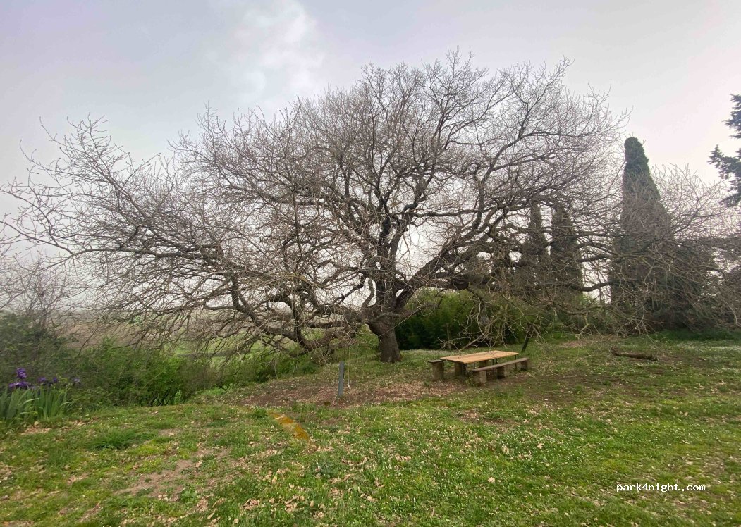 Agriturismo Agricampeggio Poggio Del Castagno — foto 4