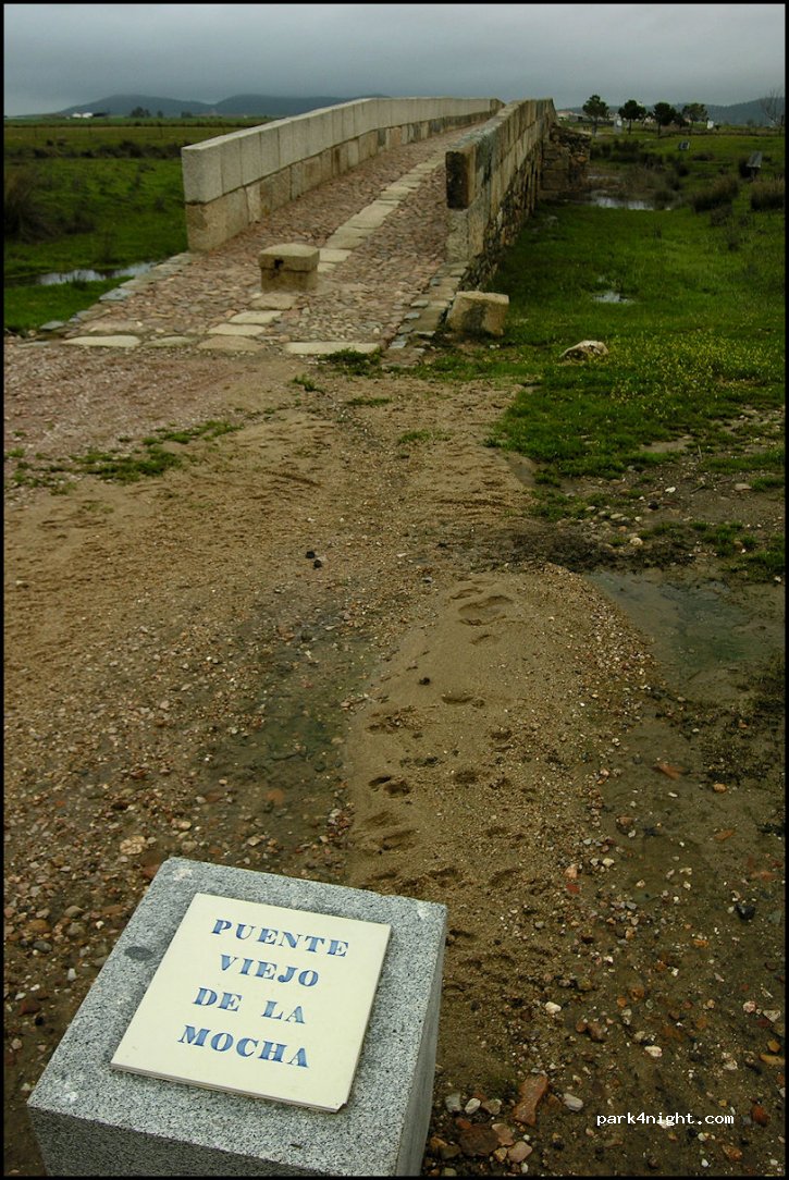 (10164) Valdesalor (Cáceres) - Puente Viejo de la Mocha — foto