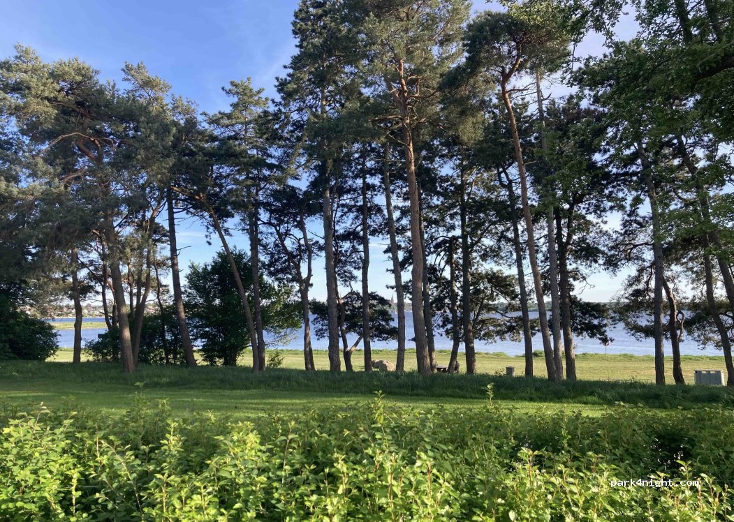 Roskilde Camping — foto 5