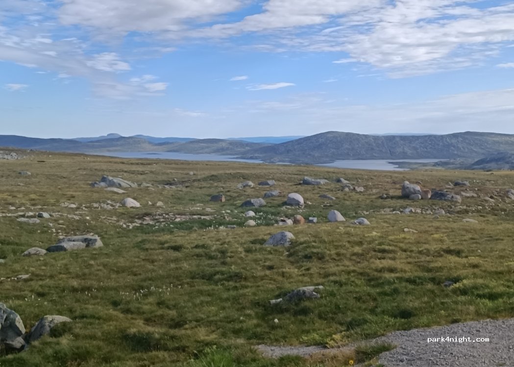 (2953)  - Primær Fylkesveg 51 — foto 2