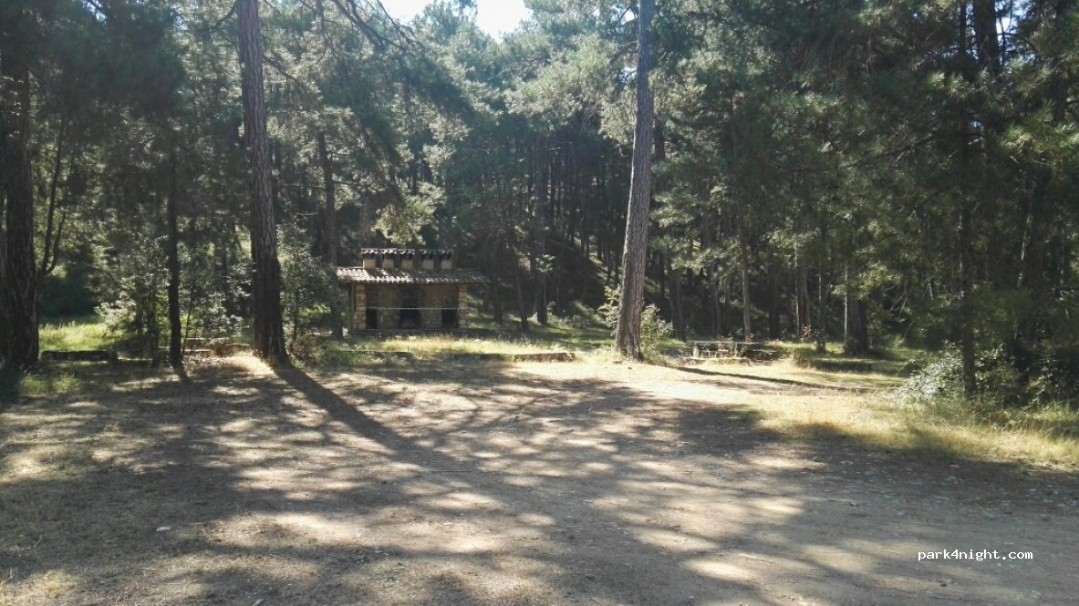 (16890) Cañamares - 30 CM-210 — foto 2