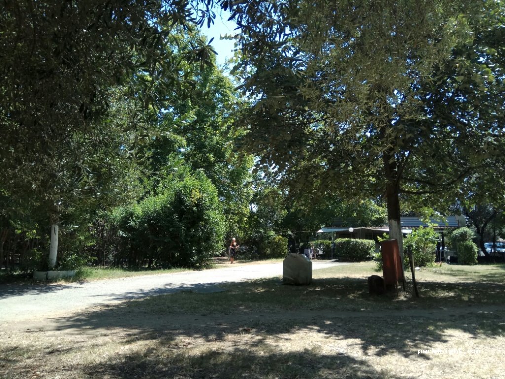 camping Kalamaki — foto 2